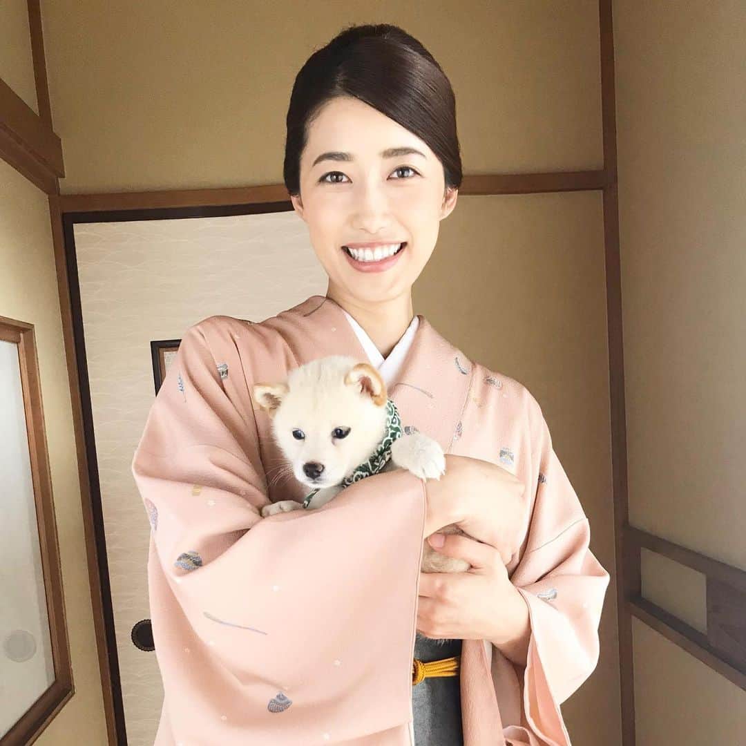 松本 彩友美 松本彩友美さんのインスタグラム写真 - (松本彩友美Instagram)「明日の放送で豆助とのカットが流れるそうです☺️ #和風総本家 #豆助  #23代目豆助 #白柴 #モデルオフィスg #modelofficeg #彩友美 #sayumi #本年もよろしくお願いします」1月15日 9時05分  - sayumi_g