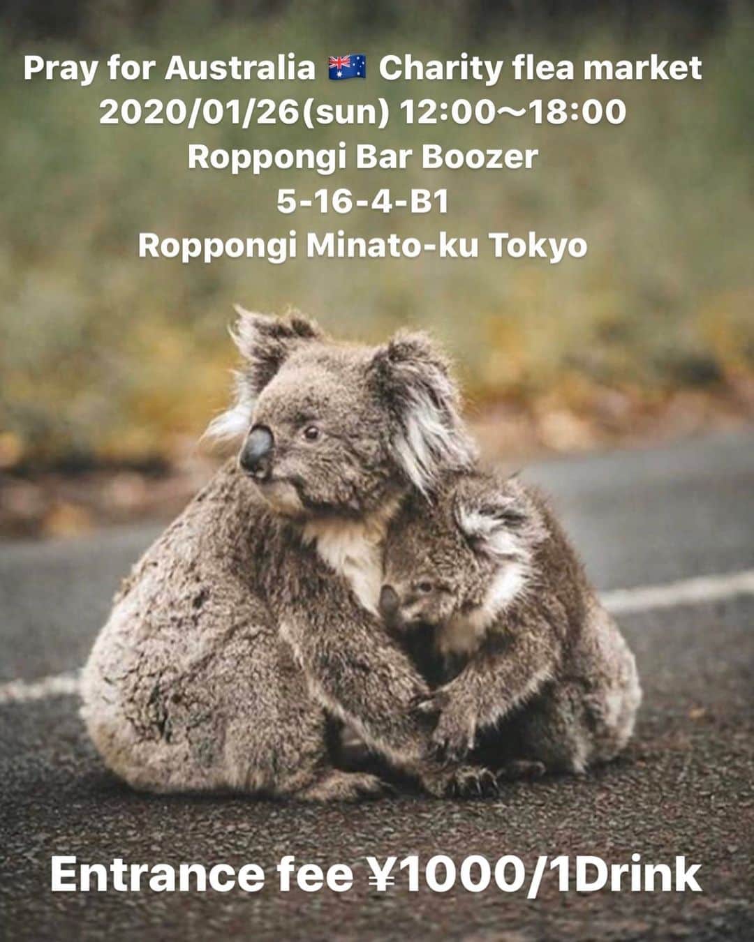 藤田敦子のグルメインスタ