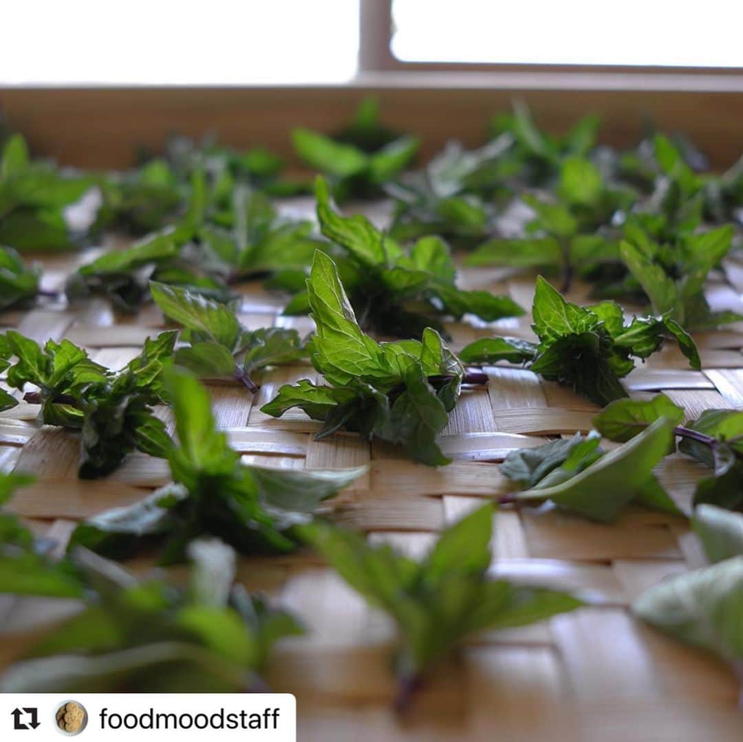 なかしましほ（foodmood）さんのインスタグラム写真 - (なかしましほ（foodmood）Instagram)「#Repost @foodmoodstaff with @make_repost ・・・ 【イベント開催のお知らせ】 2020年1月25日 土曜日  tretreさんの摘み草茶を味わおう  foodmoodのハーブティーは、高知のtretre（トレトレ）さんが、おやつに合うよう摘み草を中心にブレンドしてくださったもの。 日本一の清流と言われる仁淀川の源流域で、自生する山野草を中心に、自然のままのうまみや香りを楽しめるよう、お茶作りをされています。 この度foodmoodにtretreさんをお呼びして、冬を楽しむブレンド茶などを中心に、茶葉の販売とテイスティングの会を開きます。 ⚫︎⚫︎⚫︎⚫︎⚫︎⚫︎⚫︎⚫︎⚫︎⚫︎⚫︎⚫︎⚫︎⚫︎⚫︎⚫︎⚫︎⚫︎⚫︎⚫︎⚫︎⚫︎⚫︎⚫︎ ︎  tretre テイスティング会  仁淀でのお茶作りのお話の他、いろんなハーブをテイスティングしていただきます。おやつには、 高知 いの町の刈谷農園さんの有機栽培のしょうがを使ったジンジャーケーキをお用意いたします。  2020年1月25日 土曜日 A 10:30〜11:30 B 12:00〜13:00  各回6名さま 参加費：¥2,200（税込）フードムードのおやつ、おみやげ付  1/15 水曜日 11:00より、フードムードのお電話にて受付開始いたします。  フードムード☎︎042-573-0244」1月15日 10時01分 - foodmoodshop