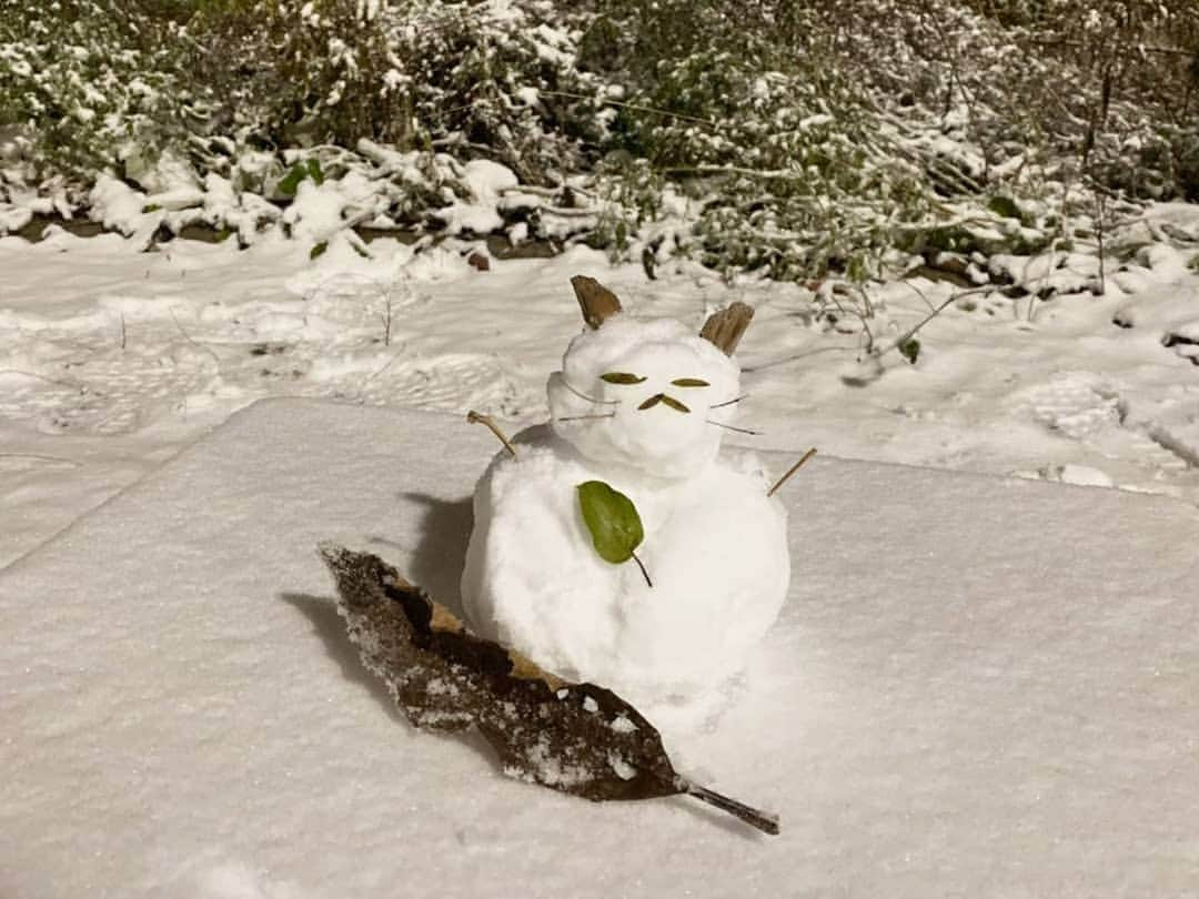 ギヨーム・パトリーさんのインスタグラム写真 - (ギヨーム・パトリーInstagram)「Happy new year everone from romantic Quebec! 오랜만이에요! 그통안 잘지내죠? 전퀘백에서 여자친구랑 고양이랑 건강하게 잘살고있어요!! 늦었지만 다들 새해복많이받으세요!」1月15日 10時25分 - patryguillaume