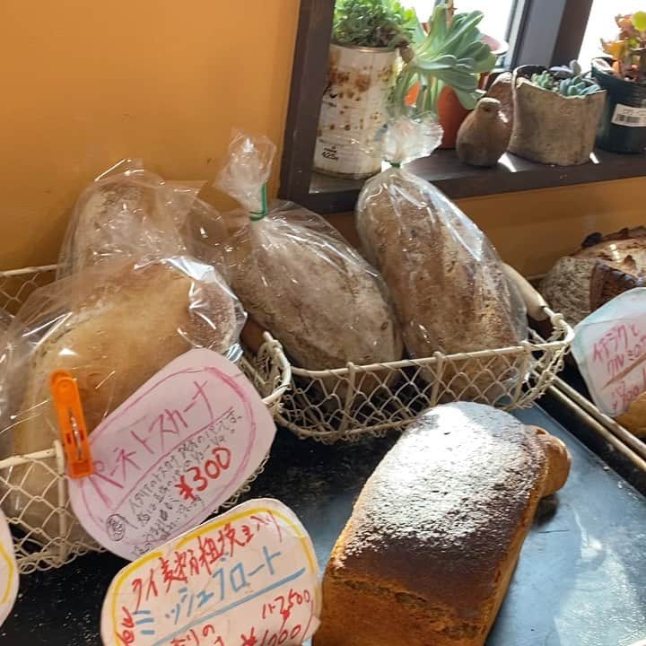 魔女菅原のグルメインスタ