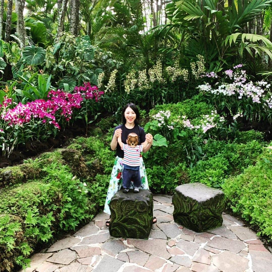 大西蘭のインスタグラム：「・ 初めてボタニックガーデンへ🌳 ・ オーキッドガーデンは色とりどりの見事な蘭の花が咲いていて素晴らしかったし、広大な園内には、リス、オオトカゲ、ニワトリ、大きな亀がいて、たくさんの動物を見られて、こぐまちゃん大満喫してました🐻 ・ 魚の餌やりも楽しかったようで、終わってから、もっとやりたい、と餌を投げるしぐさをしてました🐟 ・ ・ #シンガポール生活 #ボタニックガーデン #シンガポール植物園 @attipas_jp」