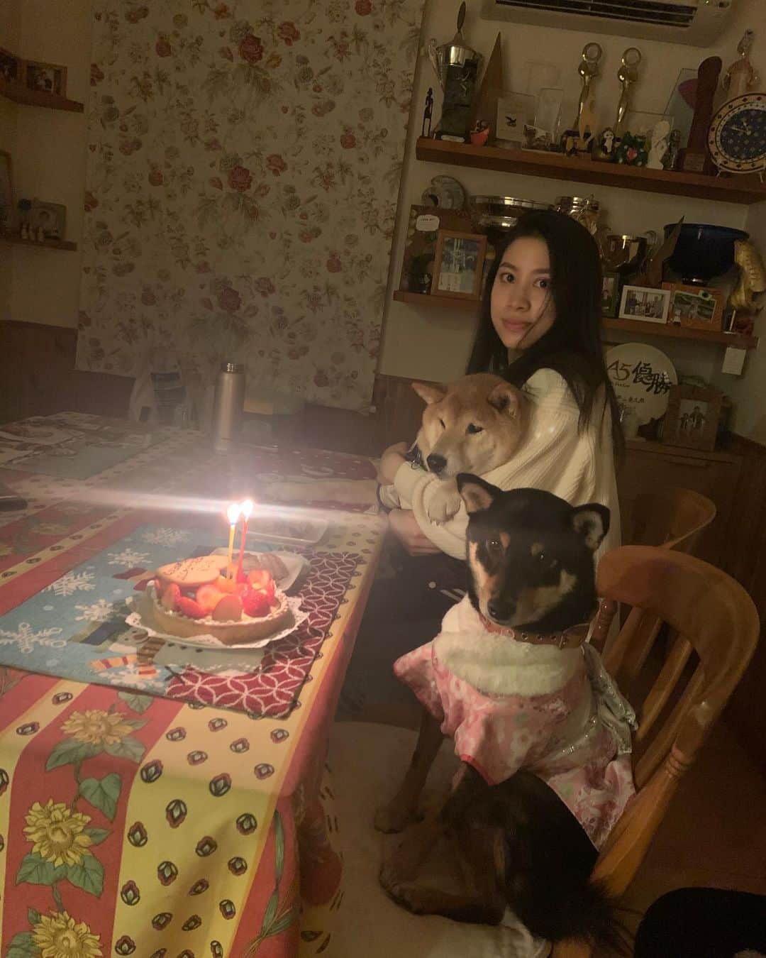 平山ユージさんのインスタグラム写真 - (平山ユージInstagram)「ひじき2歳の誕生日🐾 Happy Birthday Hijiki🎉🎉 #chocolateandhijiki #高麗神社」1月15日 22時03分 - yuji_hirayama_stonerider