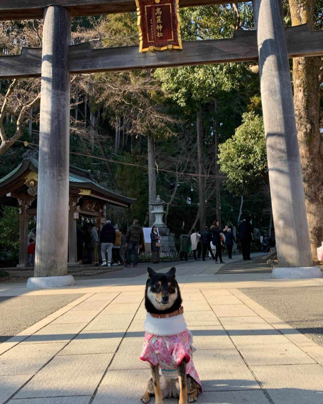 平山ユージのインスタグラム