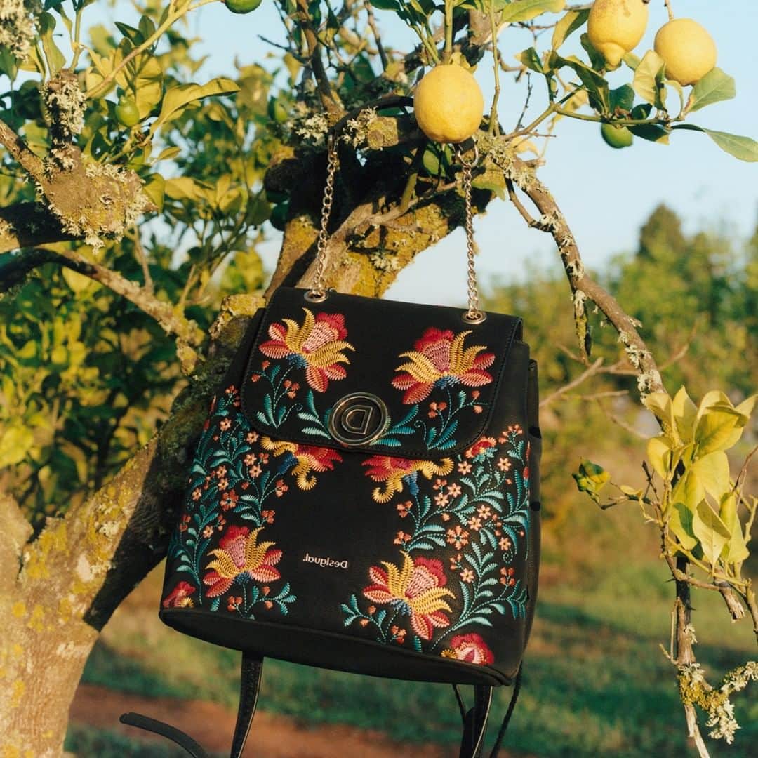 デシグアルのインスタグラム：「That #spring feelin’ got us all like… 😍😍#lovedifferent」