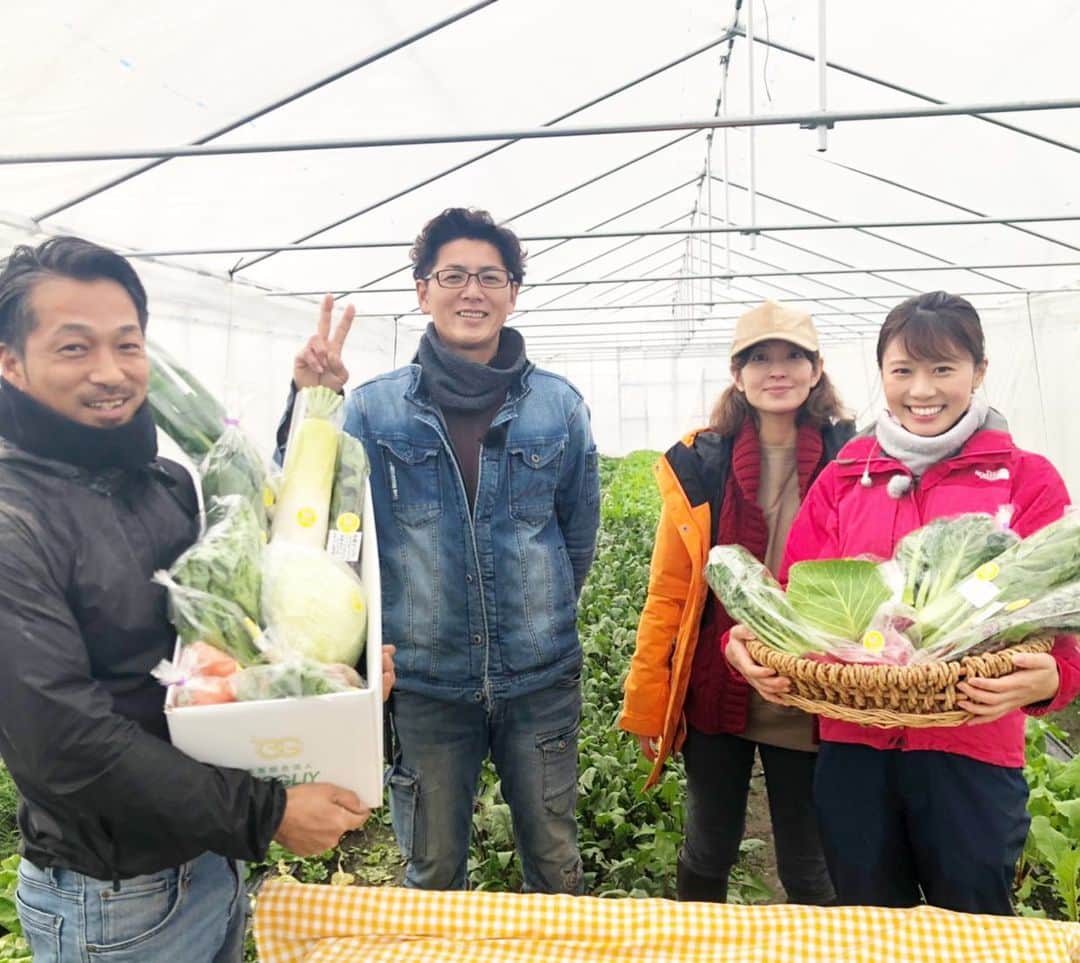 のインスタグラム：「. 昨日のリフレッシュ・おでかけ中継では、 『金沢無農薬野菜・メグリー』をご紹介しました❤️ . . 中継で、赤軸ほうれん草をその場で頂いたんですが、、、 軸の部分が甘くてびっくり！！😆 苦味エグ味はゼロ。 おいしかったな〜😊🎉 生野菜をたくさん食べる習慣、 つくりたいものです😍🎊 . 金沢市赤土町の直売所メグリーでは 美味しい野菜を買うことができます！ . 野菜が10種類ほど入ったセットもありますよ！ . みなさん、オススメでーす😘💓 . . #石川テレビ#石川さん情報liveリフレッシュ #おでかけ中継#金沢#無農薬野菜#メグリー#赤軸ほうれん草#アナウンサー#河谷麻瑚」