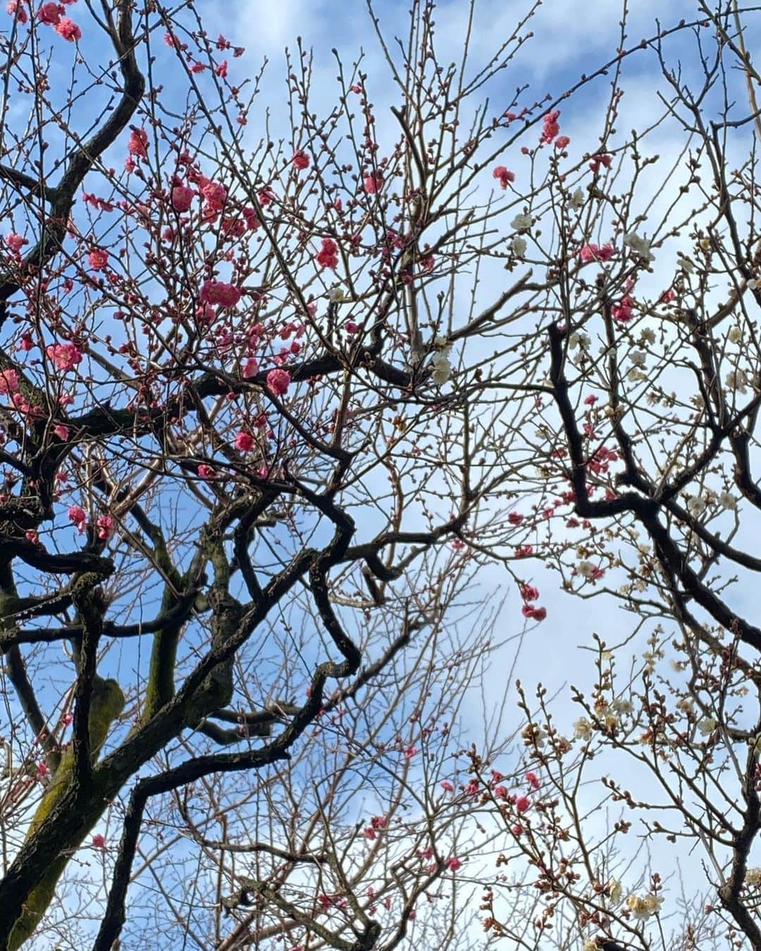 奥田恵梨華のインスタグラム