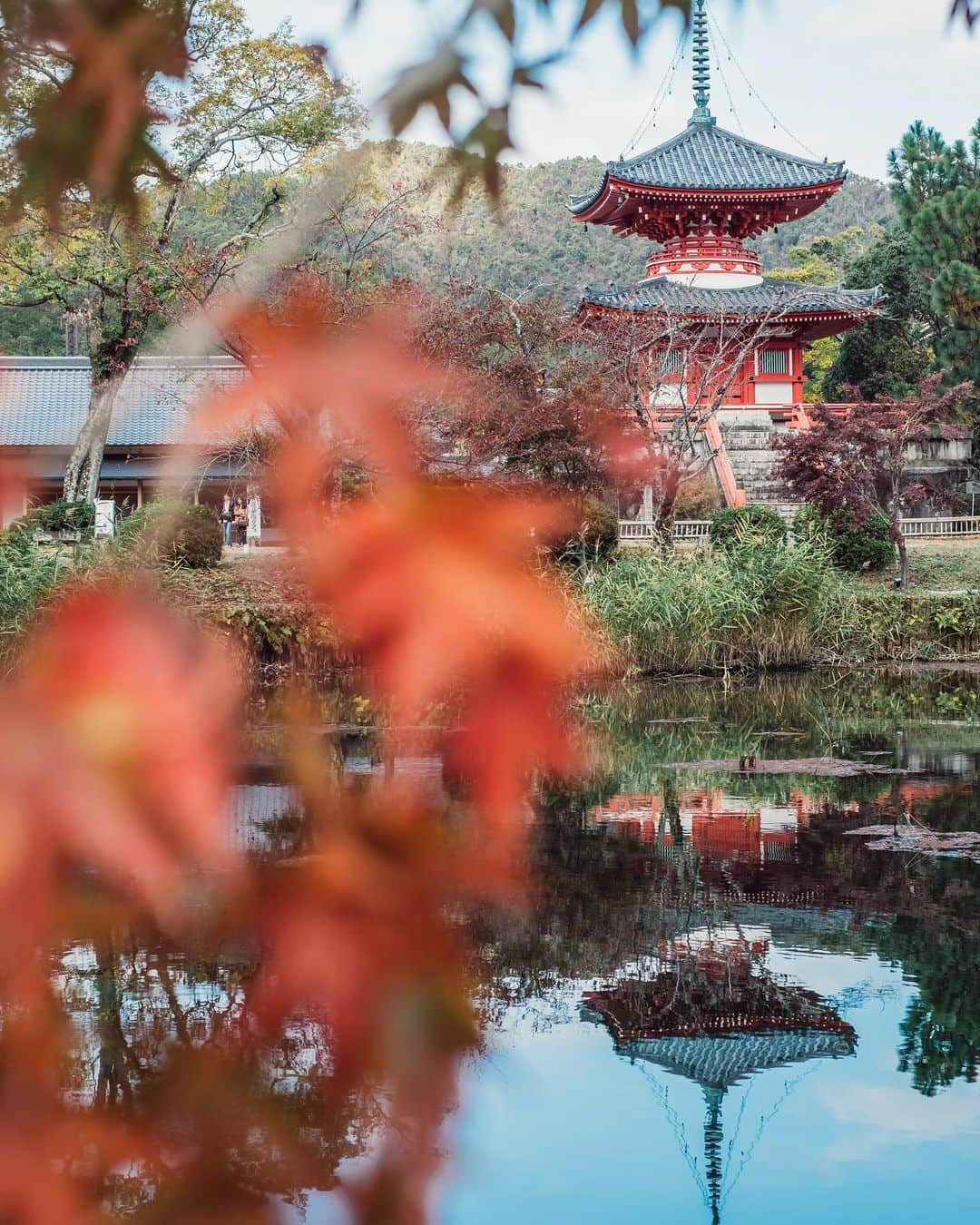 Sonoda COO Yukiyaのインスタグラム：「Autumn in Kyoto.  #kyotophotographer  #tokyophotographer  #japanphotographer  #japan  #japantravel  #traveljapan  #kyoto  #kyototravel  #travelkyoto #tokyo  #tokyotravel  #traveltokyo #beautifuldestinations  #earth #earthpics」