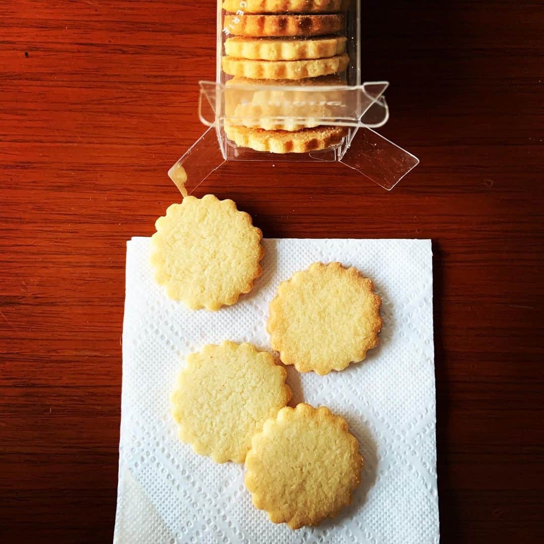 志摩有子さんのインスタグラム写真 - (志摩有子Instagram)「無事撮影終了しておやつ。パリ土産でもらったポワラーヌのクッキー。バターのみのシンプルさがたまらなく美味しい。温かな紅茶とホッとひと息。ご馳走さま！ #おやつタイム #ポワラーヌ #パリ土産」1月15日 17時03分 - ariko418