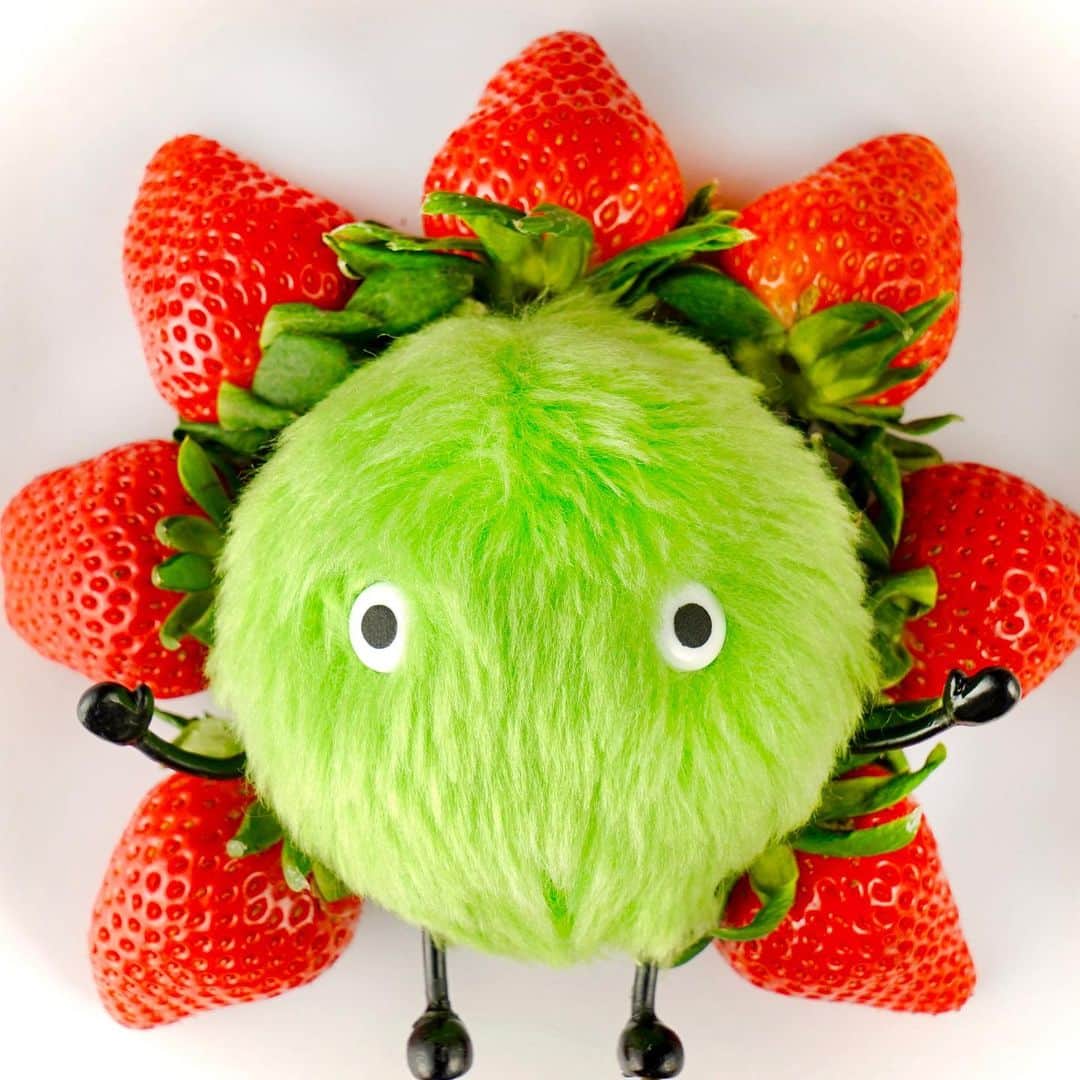 SUUMO公式アカウントさんのインスタグラム写真 - (SUUMO公式アカウントInstagram)「🍓🍓🍓 #いちご #イチゴ #苺 #いちごの日 #今日は何の日 #いちご狩り #strawberry #fruits #January #1月 #スーモ #SUUMO」1月15日 17時20分 - suumo_official