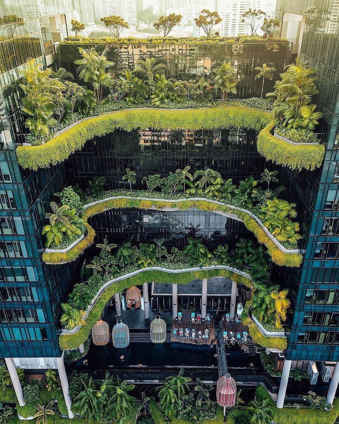 Earth Picsさんのインスタグラム写真 - (Earth PicsInstagram)「This nature filled eco hotel is located in  Singapore 🇸🇬 Photo by @kevouthere」1月15日 17時26分 - earthpix