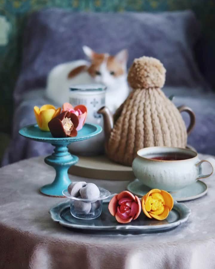 のインスタグラム：「・ ・ ねことTea time …☕️ ・  頂き物のお菓子って 何倍も美味しく感じる幸せ …❤︎ ・ ・ ・  そして #ねこのいる幸せ …❤︎ #開運堂 #ビジュトリー  #tokyotuliprose  #sweetslover  #うつわ #鈴木麻起子 さん #広瀬佳子 さん #稲葉知子 さん #londonpottery  #amu_teacozy  諸事情により再投稿🙏🏻」