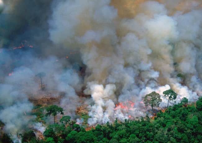 YOSHIKIさんのインスタグラム写真 - (YOSHIKIInstagram)「Your support can help change the world. みんなのサポートが世界が救われます。 "Yoshiki Donates $100,000 To Australian Wildfire Relief And Rain Forest Trust: $50,000 to the Australian Red Cross to aid victims of the Australian wildfires and $50,000 to the Rainforest Trust's Conservation Action Fund" "YOSHIKI オーストラリア森林火災の復興と熱帯雨林保護へ1,100万円を寄付: オーストラリア赤十字に5万ドル、 熱帯雨林の保護活動を行っている米レインフォレスト・トラストに5万ドルを寄付..。" https://www.broadwayworld.com/bwwmusic/article/Yoshiki-Donates-100000-To-Australian-Wildfire-Relief-And-Rain-Forest-Trust-20200113  https://headlines.yahoo.co.jp/hl?a=20200114-00000022-mnet-musi  #yoshiki #yoshikifoundationamerica #yfa #savetheplanet」1月15日 19時01分 - yoshikiofficial