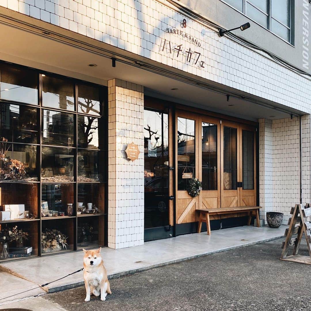 EIGHT DESIGNのグルメインスタ