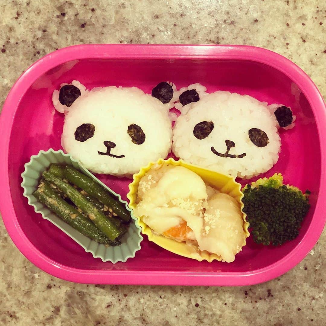 涼紫央さんのインスタグラム写真 - (涼紫央Instagram)「苦手やと思ってたお弁当作りも わたくし、、、3年生。」1月15日 19時20分 - toitoitoi