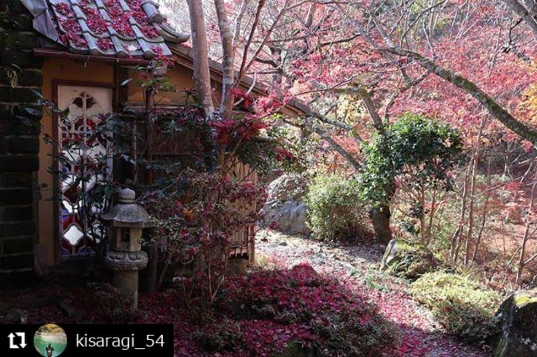 zekkei_ibarakiのインスタグラム：「エントリーNo.191033 ━･･━･･━･･━･･━･･━･･━ #Repost @kisaragi_54 ━･･━･･━･･━･･━･･━･･━ 春風萬里荘  撮りたくなるなるシリーズを 撮って出しでお届けします  #いろとりどりのもみじ  #ローアングルでもみじ  #もみじ持ってみる  #石の上のもみじ  #鏡に写った紅葉  #紅い景色とステンドグラス  #霜降りもみじ  #木枠の中の世界  #笠間市 #春風萬里荘 #紅葉 #黄葉 #もみじ #キリトッテミタ世界  #撮りたくなるなるシリーズ  #tmg_cheers #zekkeiいばらき2019 @zekkei_ibaraki  2019.11.29」