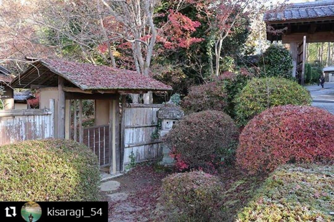 zekkei_ibarakiさんのインスタグラム写真 - (zekkei_ibarakiInstagram)「エントリーNo.191034 ━･･━･･━･･━･･━･･━･･━ #Repost @kisaragi_54 ━･･━･･━･･━･･━･･━･･━ 春風萬里荘  撮りたくなるなるシリーズを 撮って出しでお届けします  #いろとりどりのもみじ  #ローアングルでもみじ  #もみじ持ってみる  #石の上のもみじ  #鏡に写った紅葉  #紅い景色とステンドグラス  #霜降りもみじ  #木枠の中の世界  #笠間市 #春風萬里荘 #紅葉 #黄葉 #もみじ #キリトッテミタ世界  #撮りたくなるなるシリーズ  #tmg_cheers #zekkeiいばらき2019 @zekkei_ibaraki  2019.11.29」1月15日 19時23分 - zekkei_ibaraki