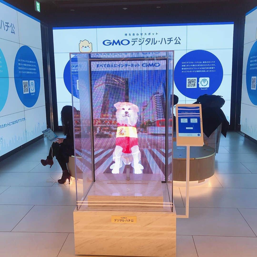 柳下毅一郎のインスタグラム：「degital Hachi-kou #shibuya #fukuras #hachi #dog」