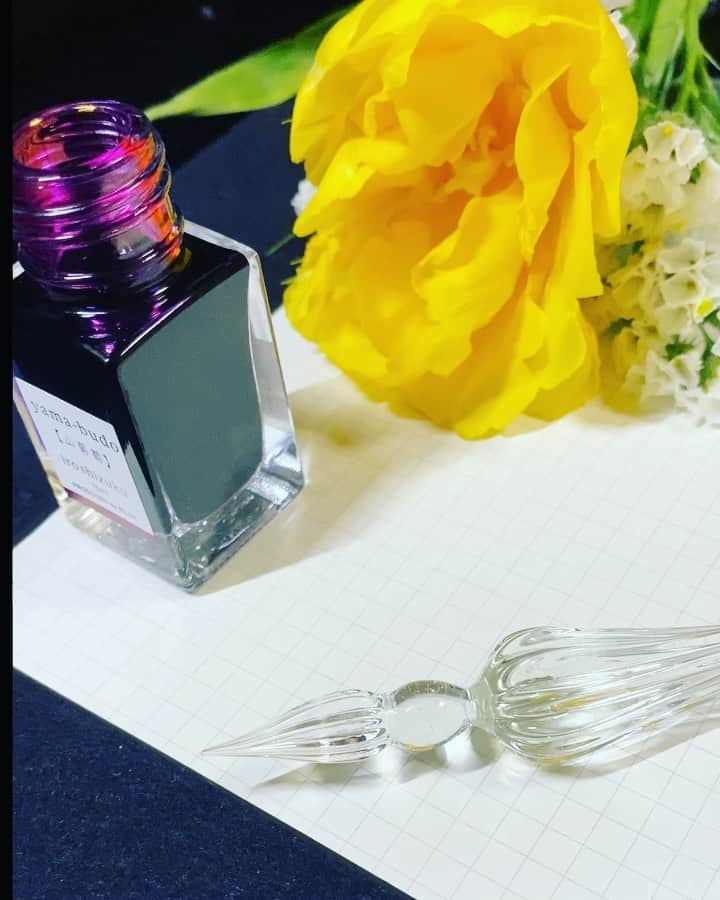 鈴木暁昇のインスタグラム：「* ◆ガラスペンの美しさ * ガラスペンの美しさに魅了されています。ペン先の特殊な構造により一回の付け足しで何文字も書けます。万年筆とはまた違った書き味です。是非、ペン先と紙との接触音もお聞きください。 *  I have been fascinated by the beauty of glass pens recently.  With the special structure of the pen tip, you can write several characters with a glass pen with a single ink addition.  Glass pens have a different writing taste from fountain pens. * 近々、速習‼︎美文字練習帳などを活用した書籍連動動画の配信も予定しています。楽しみにお待ちください。今年は鈴木曉昇は学ぶ方が楽しく学習できるような講師を目指し活動していきます。 * * * @bloomeelife 様で初回のお花お届けが✨無料✨になる▼▼クーポンコード▼▼。大変お得ですのでお早めに✨ ■クーポンコード：suzuki ■有効期限：2020年1月31日 * * *** *** *** *** *** *** ◆鈴木曉昇通信基礎講座、リアル講座等、新規受講生募集中✨ * 詳しい内容はホームページに記載しております。申し込みはメッセージかホームページ問い合わせより受付致します。 * * 🔎鈴木曉昇 🔎鈴木曉昇 書芸教室 * #書道 #鈴木曉昇 #和 #wabisabi #calligraphy #筆文字 #artistic #硬筆 #ペン字 #beautiful #chinesecalligraphy #japanesecalligraphy #墨 #sumi #書法 #japan #手書き #美文字 #手書きツイート #オリンピック #Olympic #japaneseculture #日本 #chineseculture #書道パフォーマンス #bloomeelife」