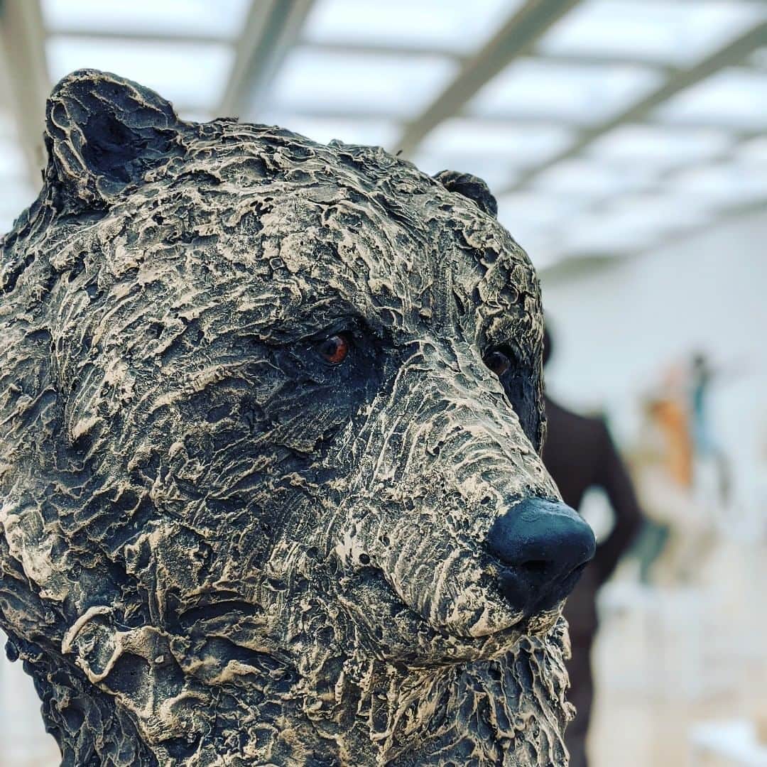 此ノ木よしるさんのインスタグラム写真 - (此ノ木よしるInstagram)「熊と目が合った！🐻 #日展 #彫刻 #新国立美術館 #美術館巡り #アート」1月15日 20時06分 - y_konogi