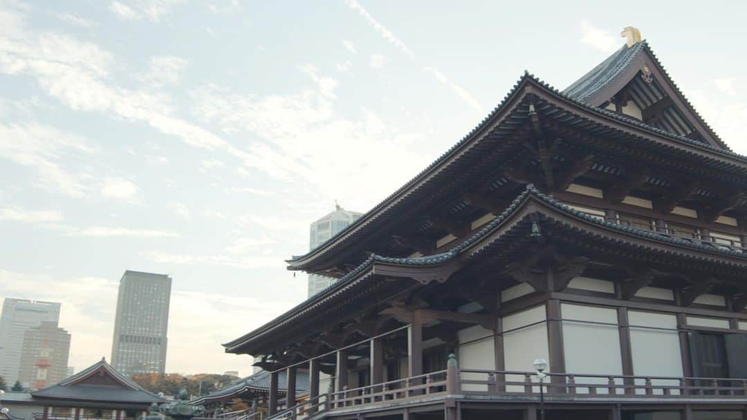 walk3000さんのインスタグラム写真 - (walk3000Instagram)「Walk in Tokyo Minato #1 at Shiba Koen ． ． #walk3000#walk#tokyo #japan#minato#shibakoen #tokyotower#temple#shrine #travel#video#youtube」1月15日 20時33分 - walk3000