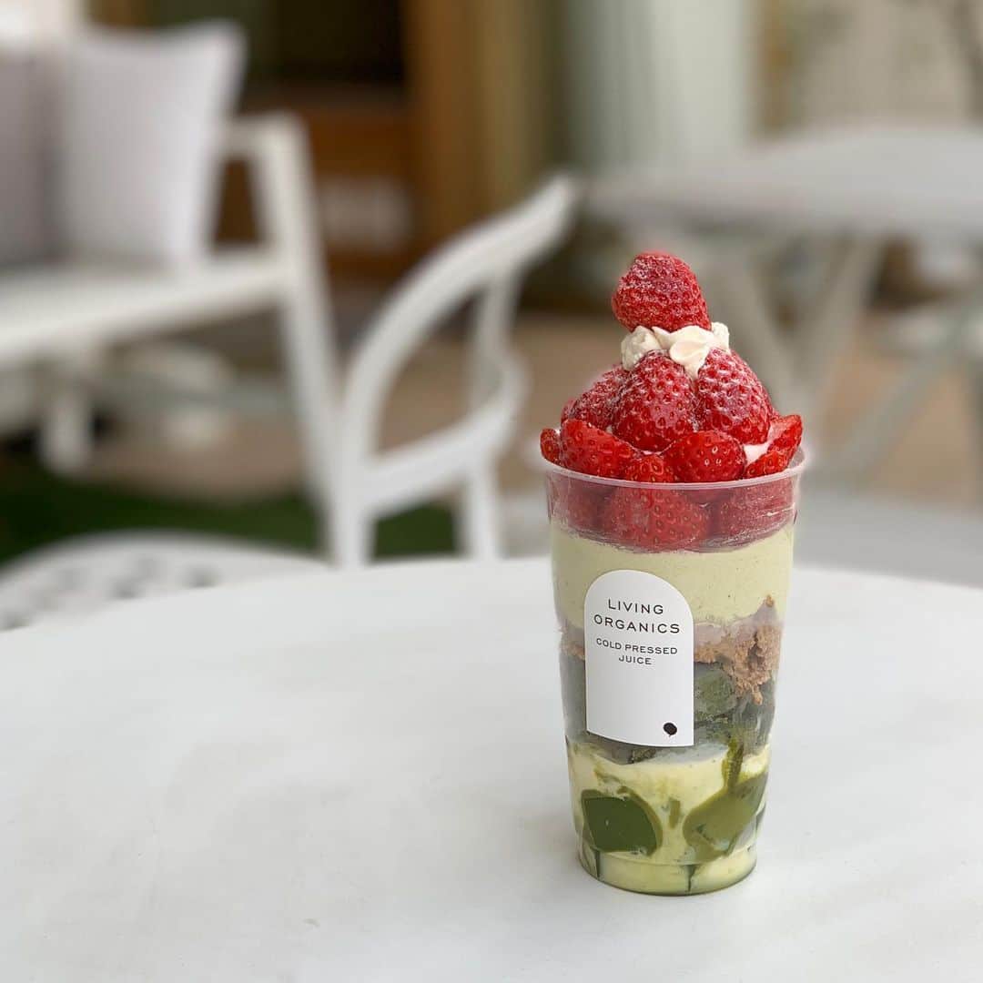 livingorganics juice&place 芦屋のインスタグラム：「【strawberry 抹茶ティラミス parfait】 1/17（金）10:00〜新作parfaitの販売がSTART致します。  自家製豆乳ティラミスクリームでヘルシーで美味しいparfaitに仕上がりました。  高知県産紅ほっぺ・京都小山園の抹茶を贅沢に使用してしまいました！（抹茶ソース/わらび餅/スポンジに使用）  自家製の抹茶スポンジもしっとりとした食感で、豆乳ティラミスクリームとの相性がとても良いですよ。  美味しくてヘルシーなliving organicsのparfaitを是非、食べにいらして下さいね！ 皆様のご来店心よりお待ちしております！」