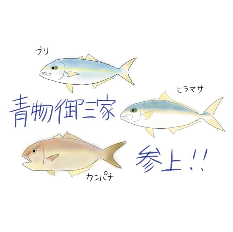 高本采実さんのインスタグラム写真 - (高本采実Instagram)「🐟 お次は青物御三家🐟🐟🐟 こうやって並べてみると なんかポケモン感する...気がする(•ө•) . 食卓にも届くであろう 「ハイブリット（交雑種）」 についても盛り込んでみました꒰ॱଳ͘꒱🐟 . . . ブログはプロフィールトップページのURLから。 または「魚と釣りと時々料理」 「高本采実　ブログ」 で検索🔍✨ . . . . . #ブリ #鰤 #ヒラマサ #平政 #カンパチ #間八 #イメージイラスト #ポケモン #青物御三家 #青物三兄弟 #ブリ御三家 #ハイブリット #養殖 #交雑種 #近大 #水産 #魚イラスト #fishdrawing  #釣り #釣り好き #釣りガール #fishinglife #钓鱼 #釣りブログ #水産学 #fishery #魚と釣りと時々料理 #高本采実 #あやみん #ayamistagram」1月15日 21時20分 - ayami__summer