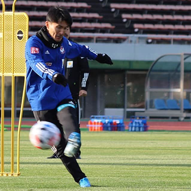 アルビレックス新潟さんのインスタグラム写真 アルビレックス新潟instagram アルビレックス新潟 が 高知 キャンプ をスタートさせました 実戦を意識したボールトレーニングに取り組んだ選手のみんな シュートトレーニングでは鼓舞する声が全方向から聞こえる