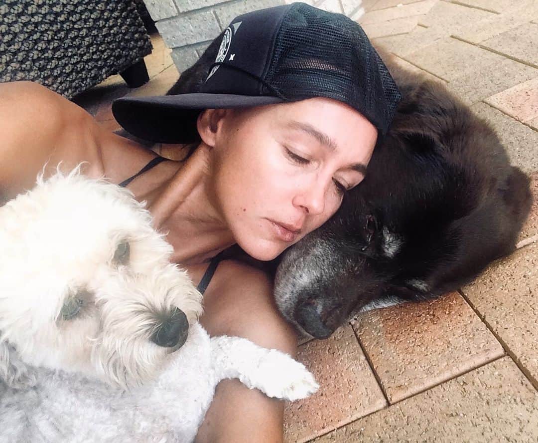 シャーニ・ヴィンソンのインスタグラム：「Saying goodbye today was NOT FUN 😢 Last cuddles with my boys. #Mochahead #Jaggerpoo #dogs #love 🐕 💙🐶」