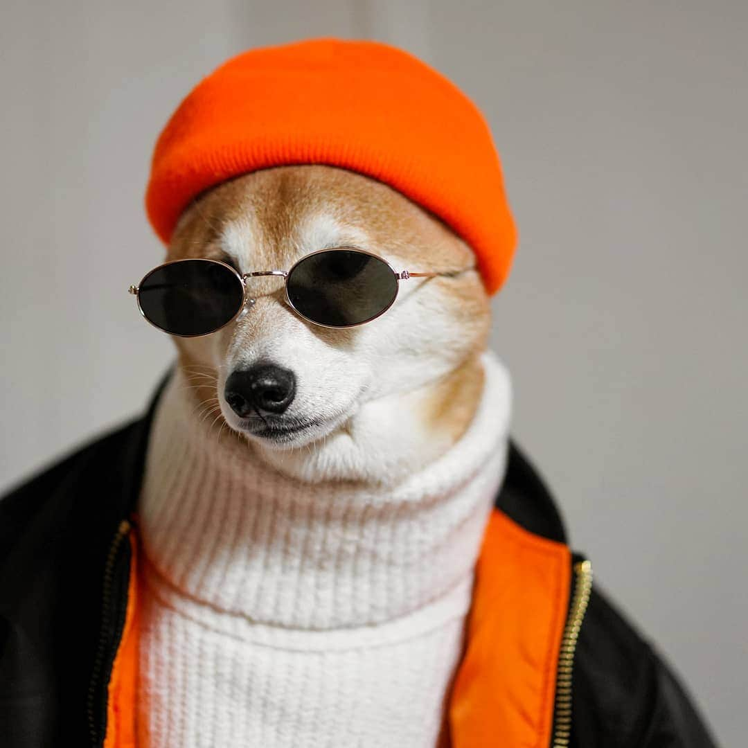 Menswear Dogのインスタグラム：「How'd you like THEM angles? 😎😏 Skullcap: @bendaviscompany  Cream turtleneck: vintage  Nylon Bomber: @alphaindustries」