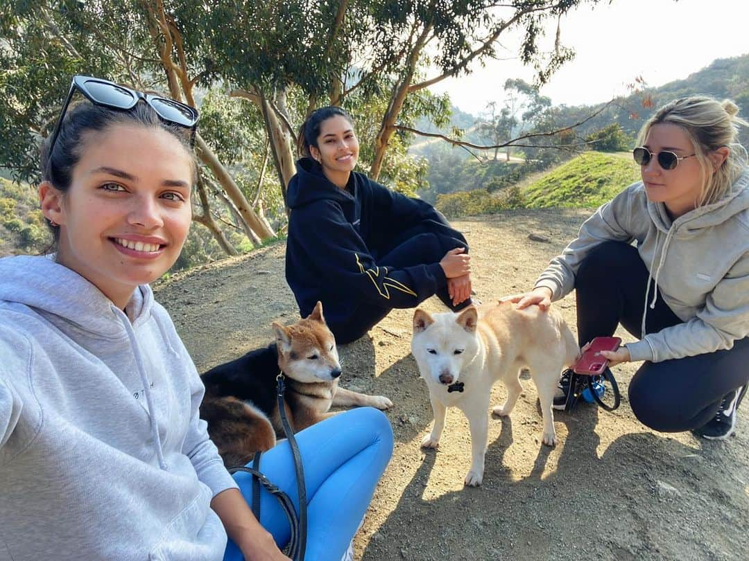 サラ・サンパイオさんのインスタグラム写真 - (サラ・サンパイオInstagram)「Morning hike with the pups」1月16日 4時43分 - sarasampaio