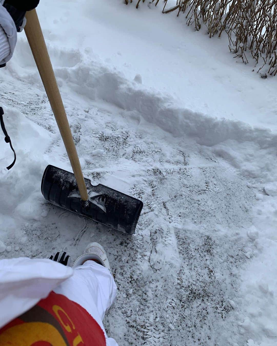 エマリン・エストラーダさんのインスタグラム写真 - (エマリン・エストラーダInstagram)「I brought the snow with me 🌬🌬 it was cute until my ears almost froze off my face 😬」1月16日 5時22分 - emmalynestrada