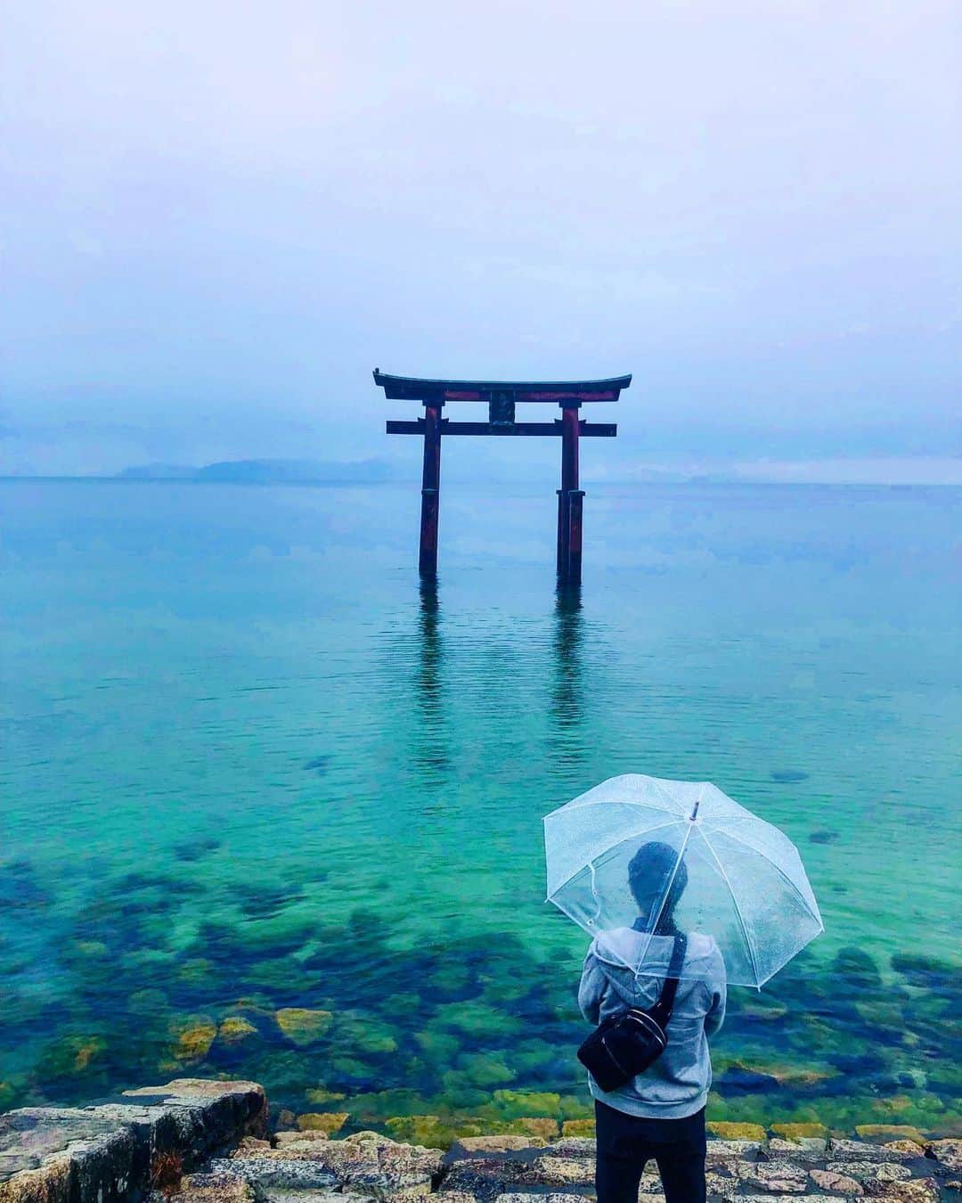 hama_aki_pppさんのインスタグラム写真 - (hama_aki_pppInstagram)「滋賀県高島市#白髭神社  Location shirahigejinja  2019年1月  これpostしてないよね？ 傘差してますが、この日は薄らと雪が降ってました❄️❄️湖面は透き通り冷たそうでした。 昨年の家族旅行🚗💨モデルは息子です。1月だったので大混雑の参拝を予想してましたが雪のせいか思ったより人は少なかったです。  #神社仏閣　 #美しい日本　 #日本の絶景　 #おとな旅プレミアム　 #絶景delic  #神社フォトコンわたしと神社  #total_asia  #amazing_shotz  #top_favorite_shots  #amazingview  #traveljapan  #inspring_shot #ippawards #wonderful_places  #worldbestshot  #earthofficial  #japanesetemple  #japanesegarden  #lovers_united_japan  #jalan_travel  #igbest_shots #タビジェニ　 #rakutentravel」1月16日 5時55分 - hama_aki_ppp