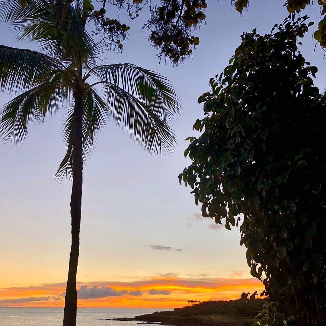 ミランダ・カーさんのインスタグラム写真 - (ミランダ・カーInstagram)「☀️🌴🌈」1月16日 6時06分 - mirandakerr