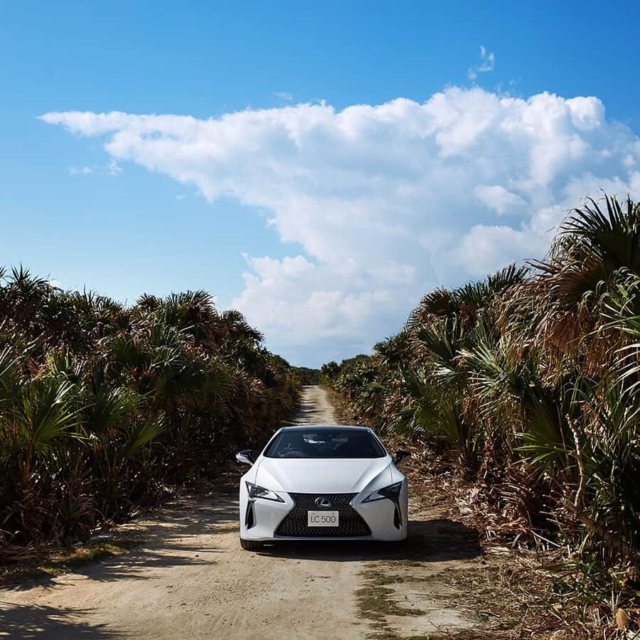 LEXUS / レクサスさんのインスタグラム写真 - (LEXUS / レクサスInstagram)「LEXUSがサポートしている2日間限りの野外レストラン、DINING OUT with LEXUS。﻿ 次回、沖縄の料理を担当するのは世界的なシェフ2人で構成されるポップアップユニット「GohGan」。共に『Asia's 50 Best Restaurants』に選出された2人がDINING OUTに懸ける思いとは。﻿ ﻿ DINING OUTについて、詳しくはLexus.jpをご覧ください。﻿ ﻿ #レクサス #Lexus #Lexusjapan #Lexusjp #ExperienceAmazing #car #cars #drive #driving #DININGOUT #DININGOUTwithLEXUS #ダイニングアウト #沖縄 #うるま #沖縄県うるま市 #ガガンアナンド #福山剛 #GohGan」1月16日 18時00分 - lexus_jp