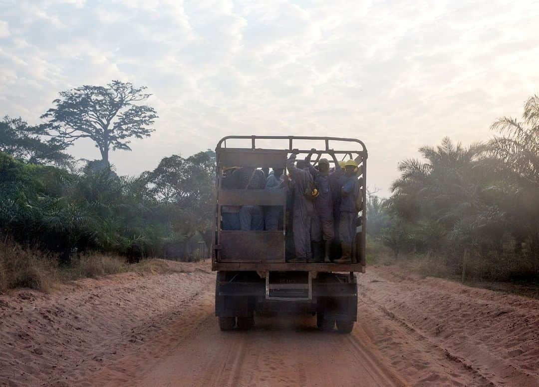 ナショナルジオグラフィックさんのインスタグラム写真 - (ナショナルジオグラフィックInstagram)「Photo by @williamodaniels | Near Mambele, Central African Republic, workers from a logging company travel on the back of a truck on their way to work in the forest. Before the sectarian violence started in 2013, logging was responsible for slightly more than 40 percent of the country's export revenues, and the sector employed approximately 4,000 people—a figure now in decline, according to the forest ministry. Follow me on @williamodaniels for more human stories around the world.」1月16日 16時40分 - natgeo