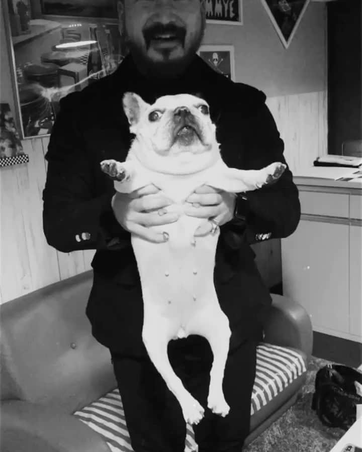 のインスタグラム：「ただいま🖤こつぶ #kotsubu #frenchbulldog #frebull  #sapporo #hokkaido #hometown」