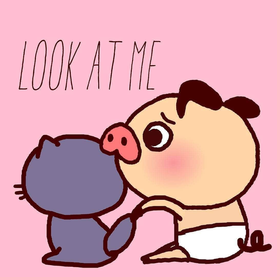 パンパカパンツ公式のインスタグラム