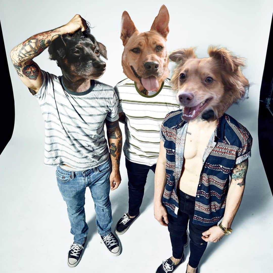 タイラー・ポジーのインスタグラム：「My dawgs」