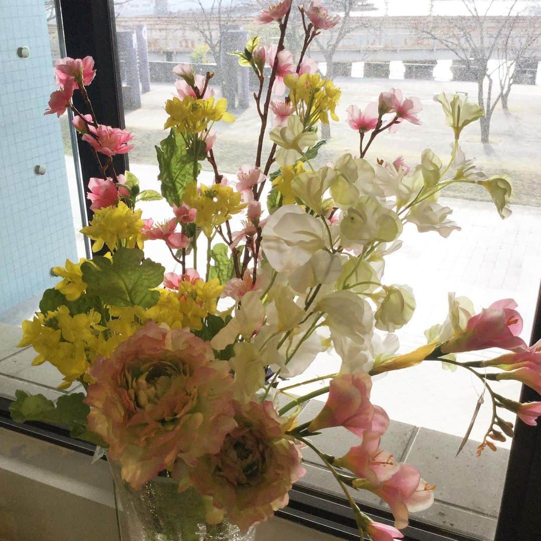 横浜ディスプレイミュージアムのインスタグラム：「3月3日はひな祭り♪ 桃や菜の花など、春のお花を飾って桃の節句を楽しみましょう♪ 生花を忠実に再現したアーティフィシャルフラワーを、お手に取りやすい価格でご用意しております！ #横浜ディスプレイミュージアム #株式会社ポピー #横浜 #ディスプレイ#アーティフィシャルフラワー #フラワーアレンジメント #フラワーデザイン #インテリア雑貨 #インテリア#インテリアコーディネート#スタイリスト#装飾#デコレーション #花のある暮らし #花好きな人と繋がりたい #display #yokohama #flowerarrangement #interiordesign #artficialflower #flowerstagram #ひな祭り#桃の節句」