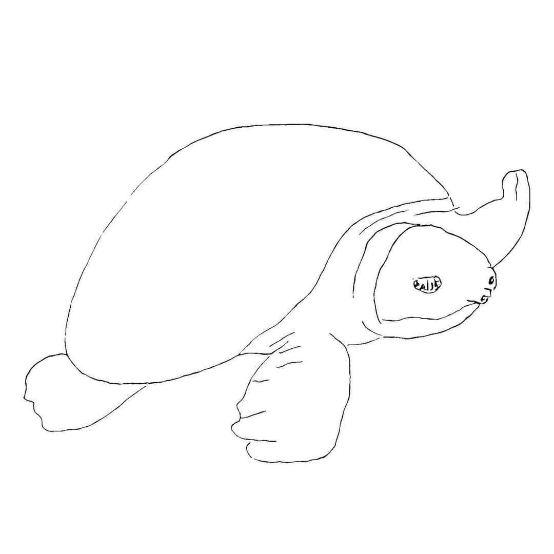 高松雪乃さんのインスタグラム写真 - (高松雪乃Instagram)「何を描いたでしょう？🤗 前回のはちゅドル画伯の正解はアメフクラガエルでした！  #爬虫類 #はちゅドル #はちゅドル画伯」1月16日 9時51分 - yukinotakamatsu