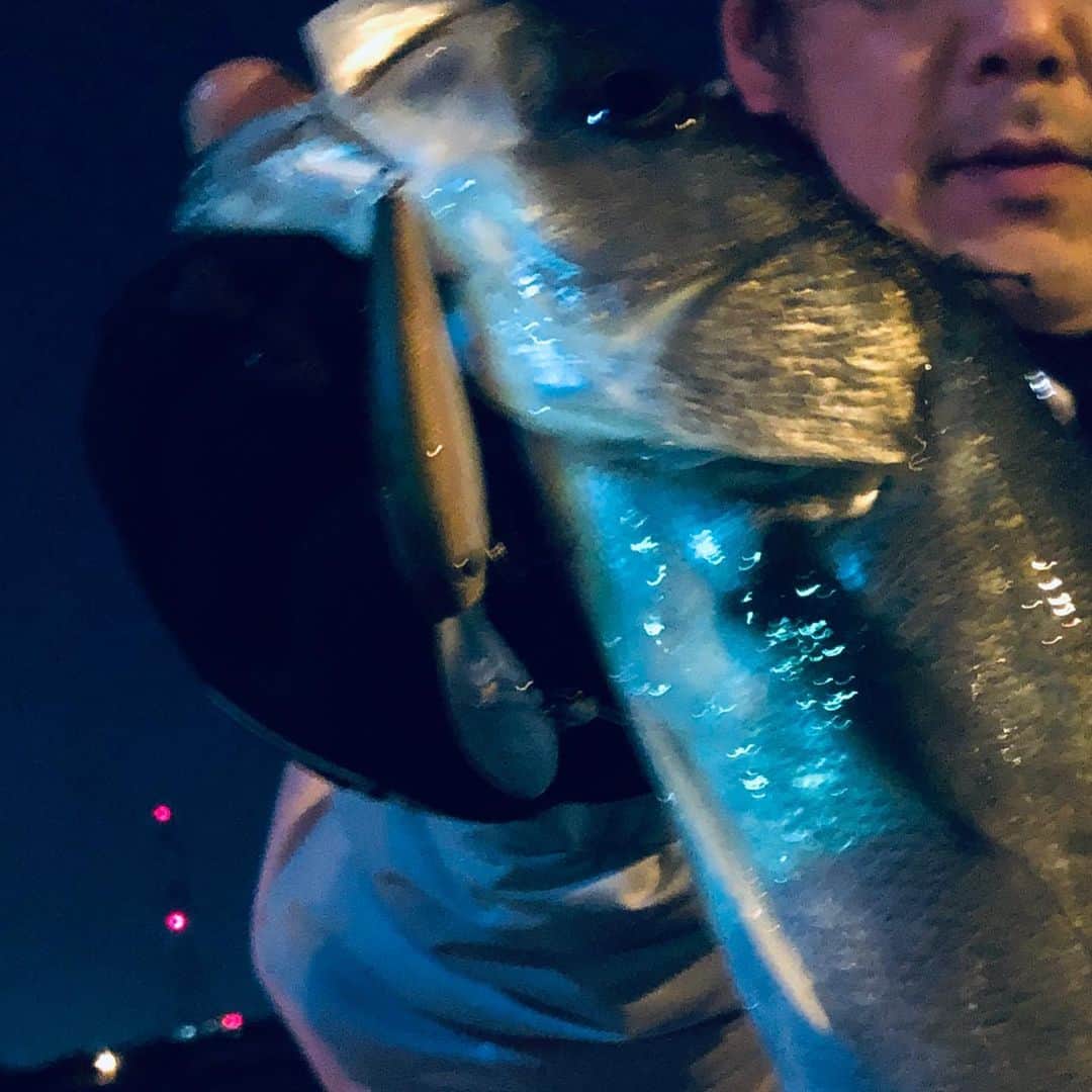 人時のインスタグラム：「おはようございます^_^昨日はリハーサル後に少しだけボートシーバス&メバルに^_^ HUミノーを忘れてしまい、偶然持ってたHUシャッドでいただきました^_^ シャッドでシーバス^_^そりゃ釣れるよねー^_^ SCJにスタッガーの5インチの組み合わせにもバイトありましたが乗らず…。でも初めてのボートシーバス＆メバルめっちゃくちゃ楽しかったー^_^ ありがとうございました！」