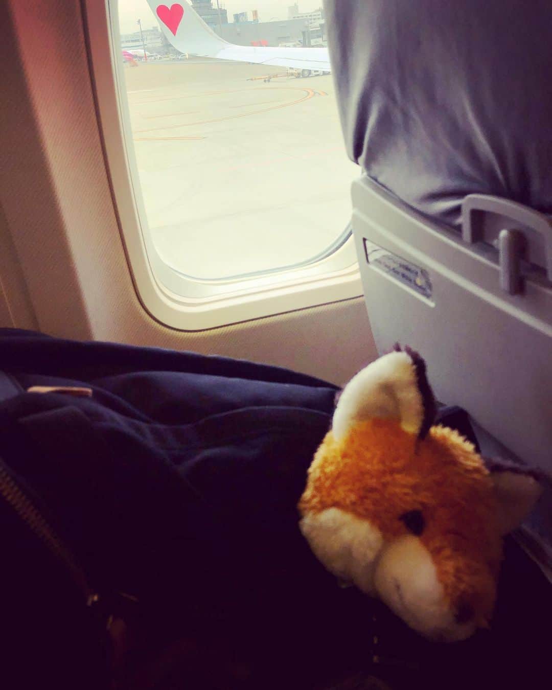 Kyrieのインスタグラム：「Ismツアー、福岡公演でした。有難う。  一月度はこれにてお終い。  響と一足先に東京へ。」