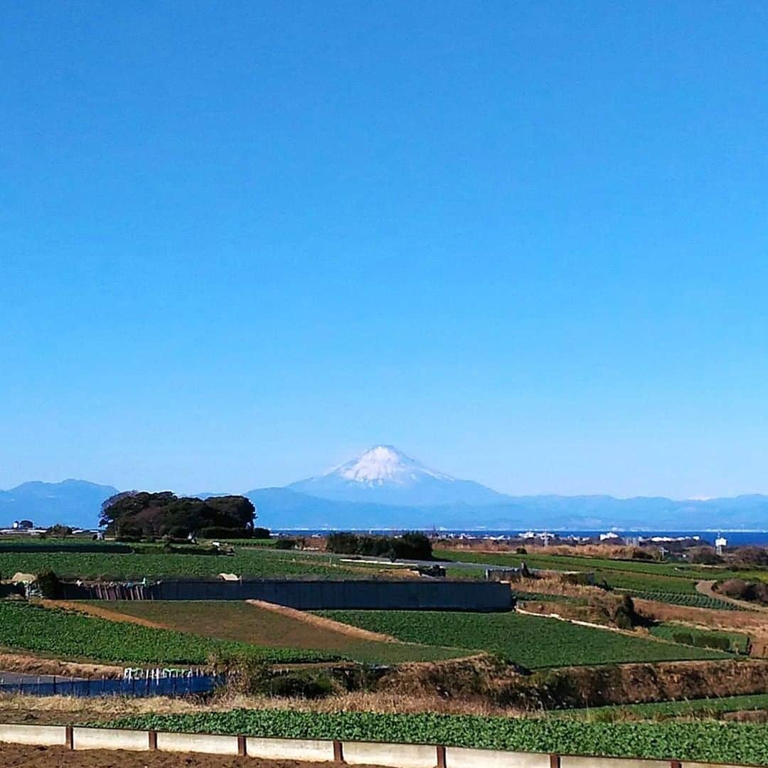 【公式】オーシャンリゾートホテル マホロバ・マインズ三浦さんのインスタグラム写真 - (【公式】オーシャンリゾートホテル マホロバ・マインズ三浦Instagram)「富士山と畑ののどかな光景。これぞ三浦の景色！　という感じで気持ちが良いです。⁠ .⁠ #青空 #富士山 #お正月 #富士 #京急 #初夢 #自然 #山 #田舎の風景 #けしからん景色 #空が好きな人と繋がりたい #一富士二鷹三茄子 #写真が好きな人と繋がりたい #一富士 #ファインダー越しの私の世界 #東京カメラ部 #風景写真 #自然写真 #mtfuji #igで繋がる空 #カメラ女子 #三浦海岸 #電車好き #三浦 #マホロバ #三浦半島 #maholovaminds #マホロバマインズ #三浦海岸 #マホロバマインズ三浦」1月16日 12時00分 - maholova_minds_miura