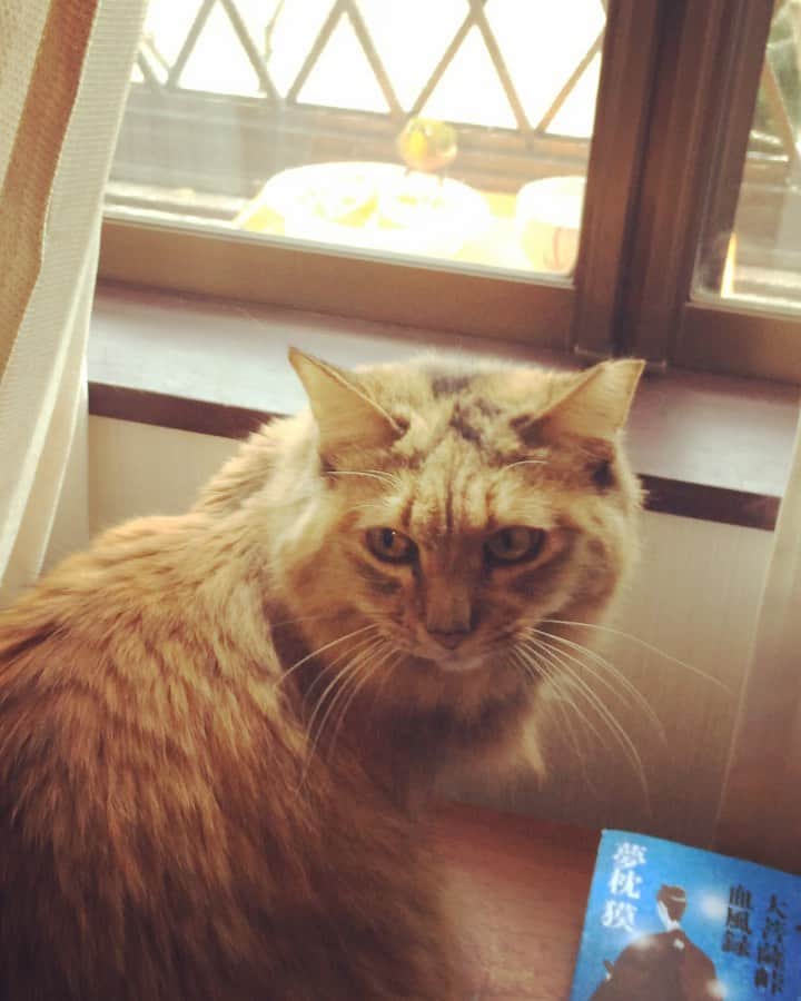 岡田屋鉄蔵のインスタグラム：「今日は寒いですな〜」