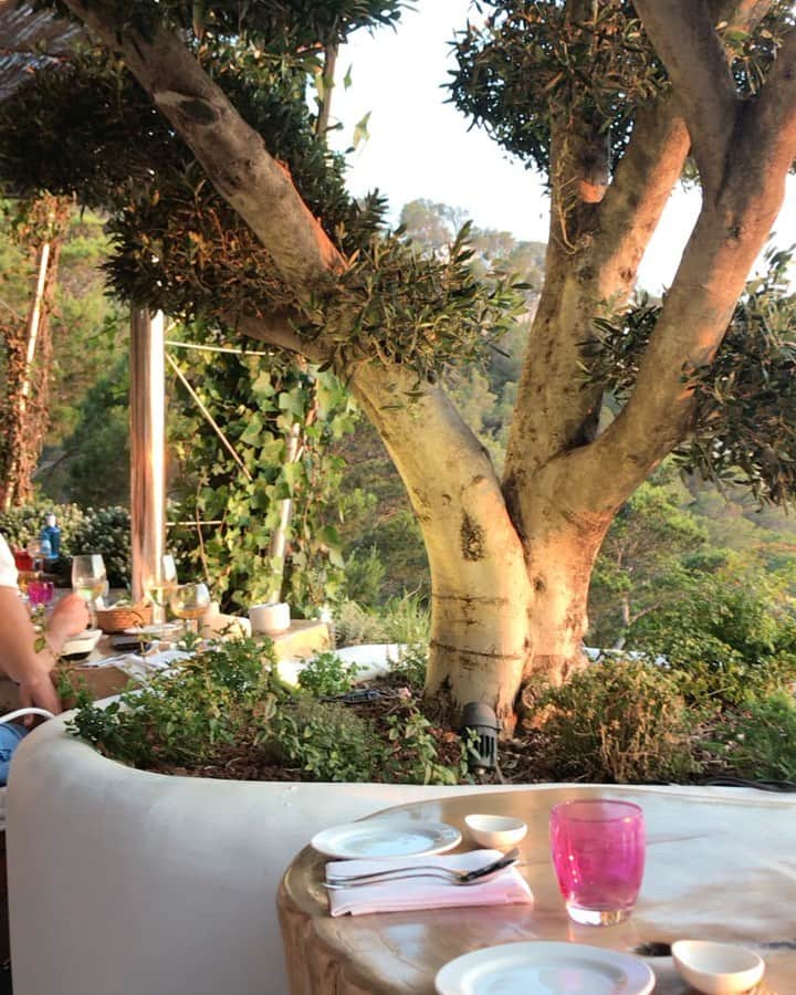 のインスタグラム：「Ibizaの絶景レストラン🍽✨ . . . #haciendanaxamena #hotelrestaurant #restaurant #dinner #ibiza #spain #spain🇪🇸 #europa #travel #travelphotography #travelgram #traveling #travelling #travelblogger #traveltheworld #travelingram #instatravel #instatraveling #ヨーロッパ #旅行 #旅 #旅行好き #旅行大好き #旅行好きな人と繋がりたい #旅好きな人と繋がりたい #イビザ #スペイン #スペイン旅行 #レストラン #ディナー」