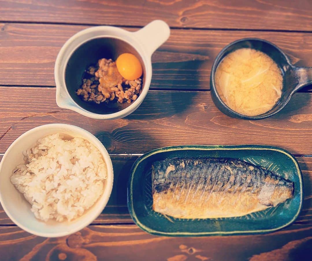 のインスタグラム：「嫁さんがコストコで買って来てくれたさばフィレで昼定食と、 ラムのTボーンをただ焼いたヤツ。 #ハラダ手作り #コストコ #さばフィレ #ラム」