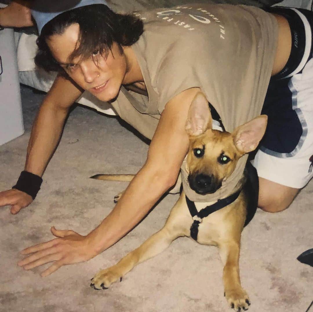 ジャレッド・パダレッキのインスタグラム：「One year ago today, i bid my final farewell to my girl, Sadie. I rescued her in June of 2003, between scenes on Gilmore Girls, and we were partners and teammates for 15+ years. I think about her often. I miss her, and I’ll always cherish the times we shared. I sometimes feel selfish, thinking about how much joy she gave me. I hope i made her feel the same. If i was able to give her even just 1% of the happiness she gave me, then she’s still smiling... somewhere... Play In Peace Sadie.  My life is better because you were in it.」