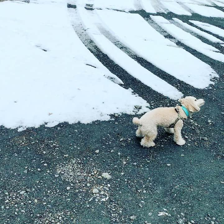 金村義明のインスタグラム