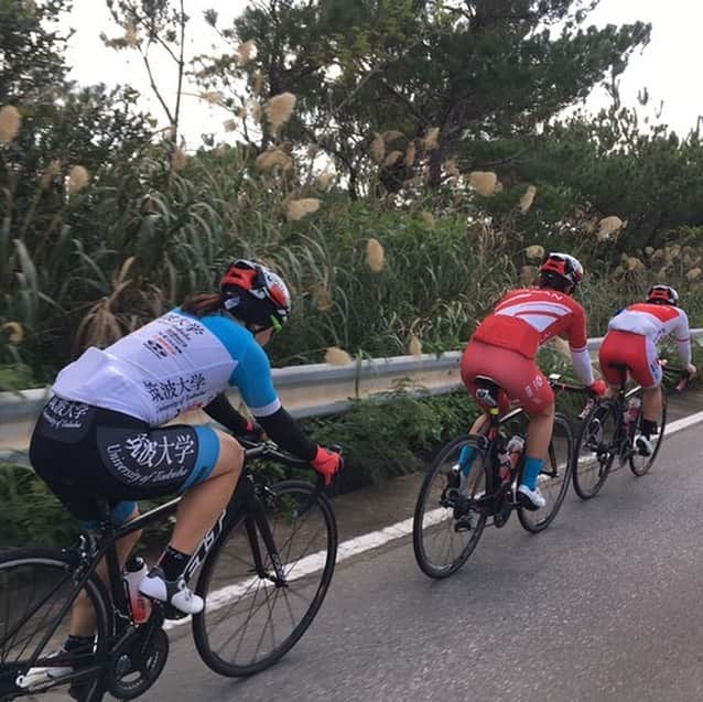 梶原悠未さんのインスタグラム写真 - (梶原悠未Instagram)「🌺🏖 . OKINAWA Training Camp 🚴‍♀️🏋️‍♀️🏊‍♀️ . ☀️#ソルテラグループ 🚲#BRIDGESTONE 🚵‍♀️#FELT 🧤#BIORACER ⛑#OGKkabuto 👚#CRAFT 🛵#maviccycling 🏋️‍♀️#JUCOLA 👙#CWXワコール 🕹#NITTO . #自転車競技 #トラック #中距離 #日本代表 #沖縄 #合宿」1月16日 15時10分 - yumi_kajihara